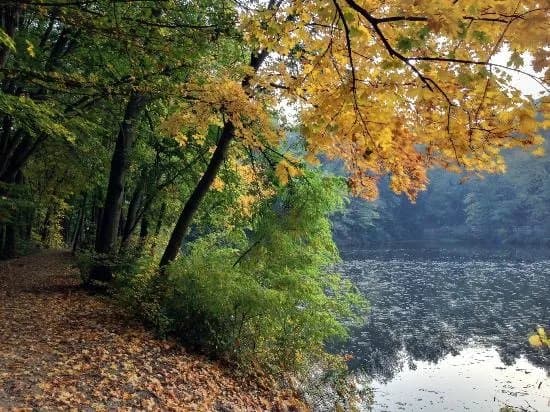 Bratislava Forest Park