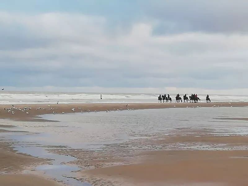 Holiday Duinenwind - holiday in Belgium