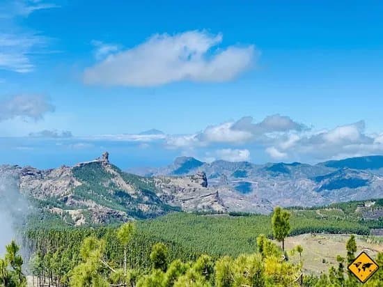 Pico De Las Nieves