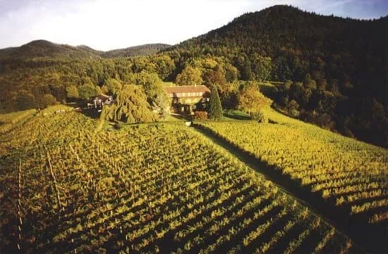 Weingut Nagelsforst