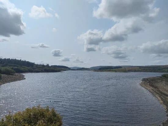 Gisburn Forest And Stocks
