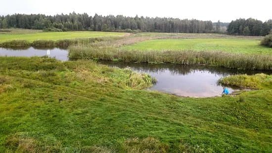 Biebrza National Park