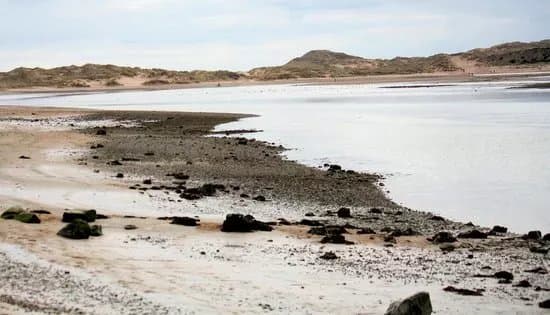 Forvie National Nature Reserve