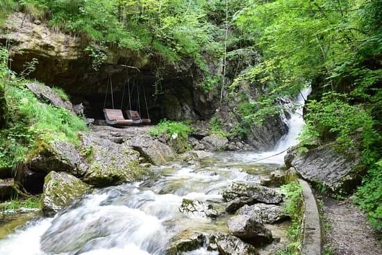 Dittelbachwildnis