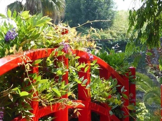 Jardin Botanique