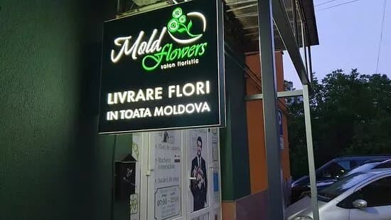 Moldflowers