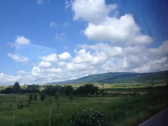 Blue Mountains