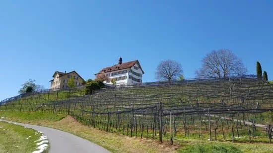 Schloss Dottenwil