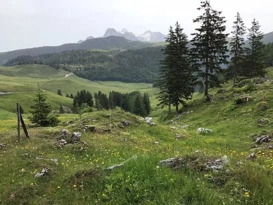 Balance am Berg