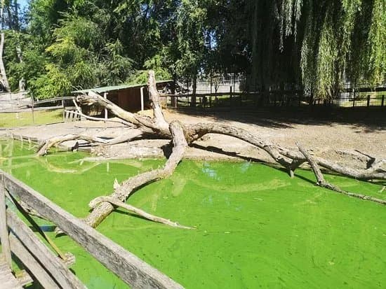 Jaszbereny Zoo and Botanical Garden