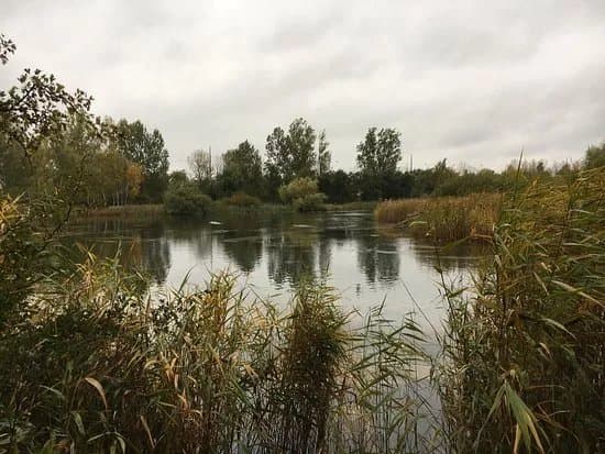 Vallensbaek Mose