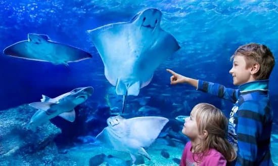 SEA LIFE Berlin