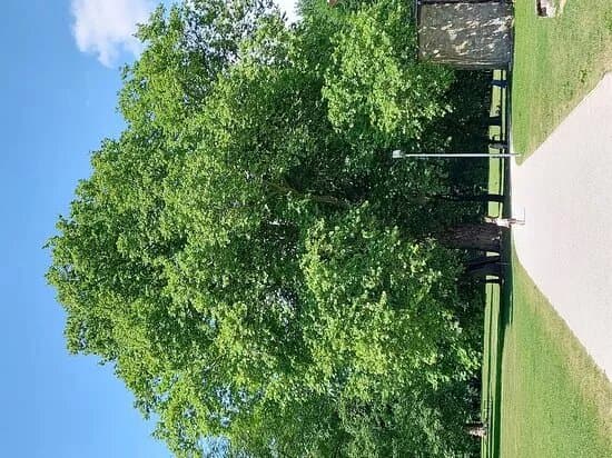 Budatinsky Park
