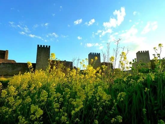 Cerco de Artajona