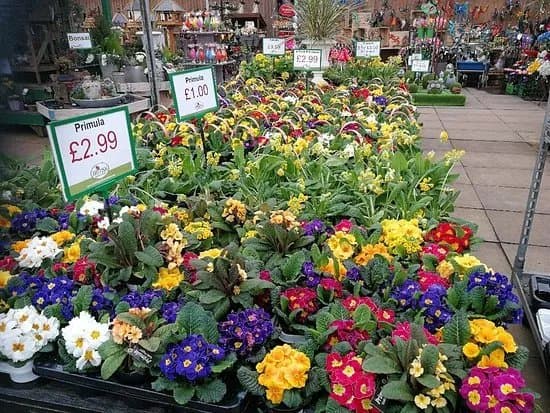 Brigg Garden Centre