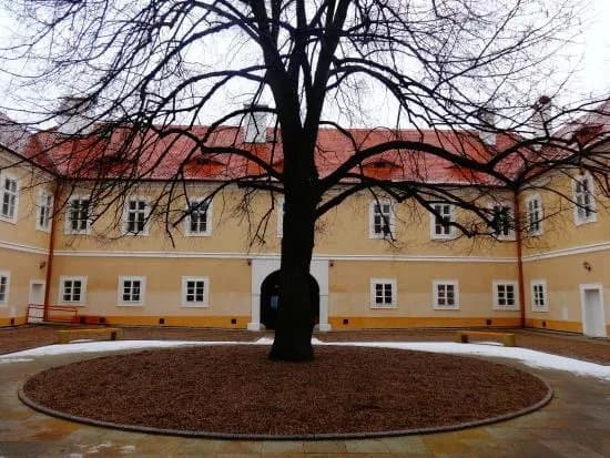 Castle Litvinov