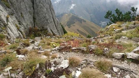 Alpine Garden La Rambertia