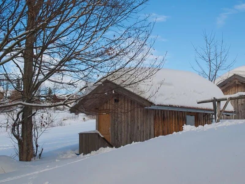 Family-friendly holiday home on the edge of the forest in a very quiet location