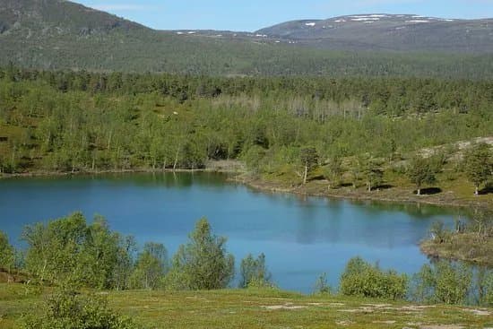 Stabbursdalen nasjonalpark