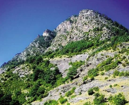Cami de Rocafort