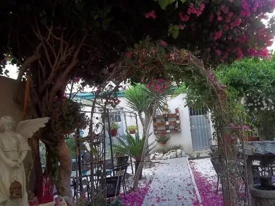 Secret Garden Wine & Coffee Bar