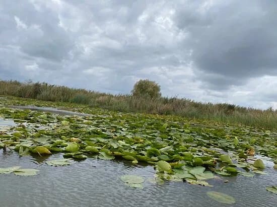 Vatafu-Lunghulet Nature Reserve