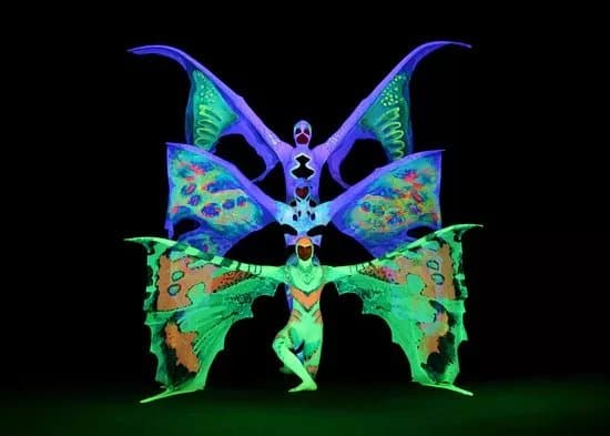 IMAGE Black Light Theatre