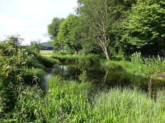Gerlhamer Moor