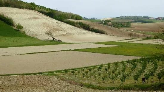 Strada Panoramica Tra Cuccaro Monferrato e Lu