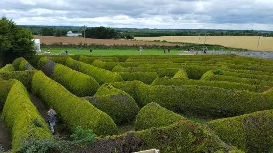 The Kildare Maze