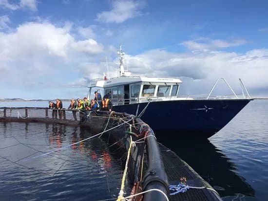Salmon Center Rorvik