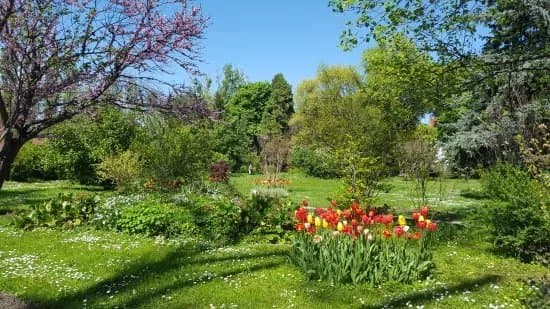 Gradina Botanica Dimitrie Brandza