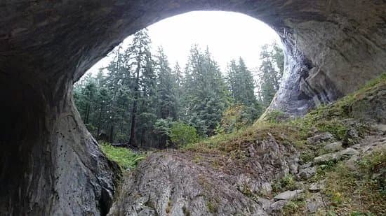 The Wonderful Bridges