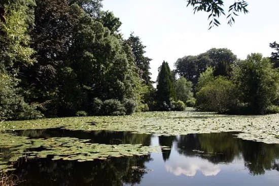 Altamont Gardens