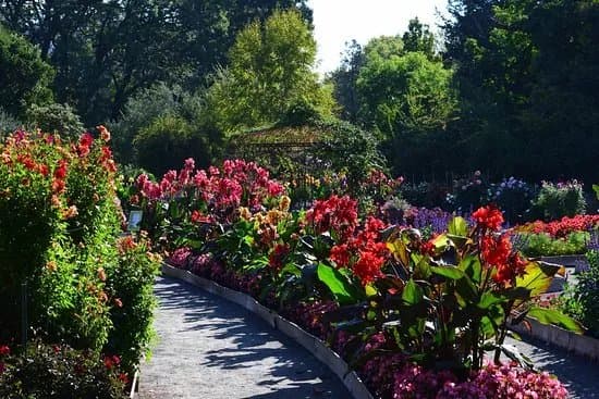 Jardin Botanique de Lyon