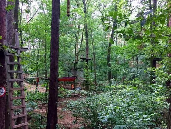 Kletterwald Grunheide