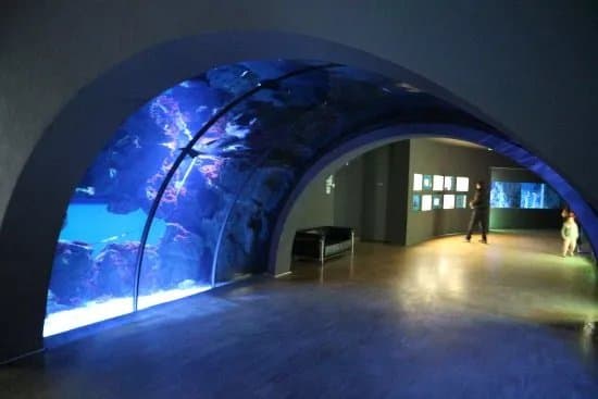 Acquario civico