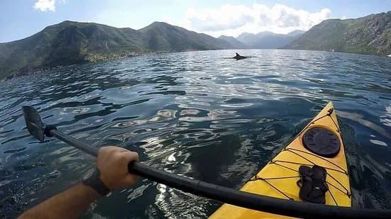 Kotor Bay Tours