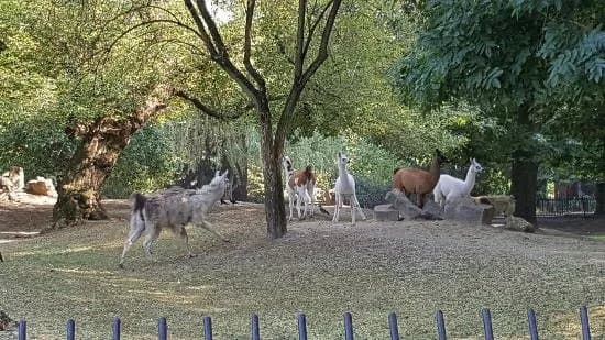 Miejski Ogrod Zoologiczny w Warszawie