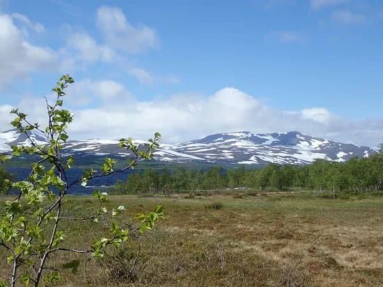 Vindelfjallens Naturreservat
