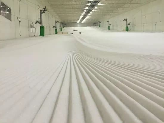 Snozone