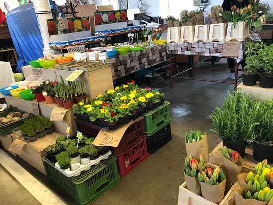 Holesovice Farmers Market