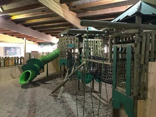 Mad Monkey Jungle
