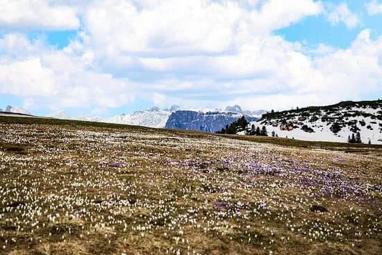 Bergbahn Rittner Horn - Cabinovia del Corno del Renon