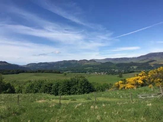 Auchingarrich Wildlife And Adventure Park