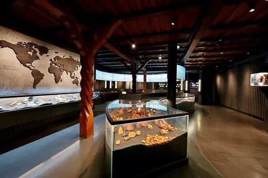 Mizgiris Amber Museum