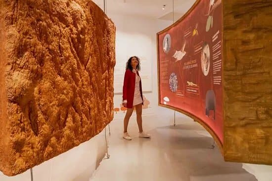 Planet Cork Museum