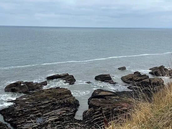 Arbroath Cliffs