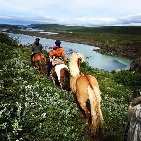 Lava Horses