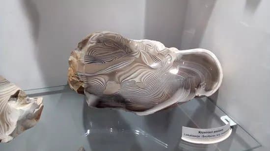 Museum of Minerals and Fossils